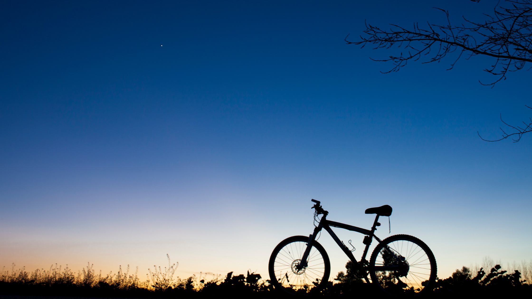 bike in front of sunset