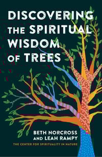 BL_DiscoveringTheSpiritualWisdomOfTrees_Cover_9798889832133c