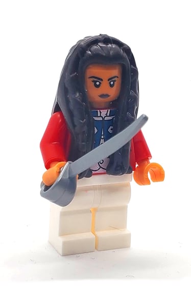 DJ lego land 3
