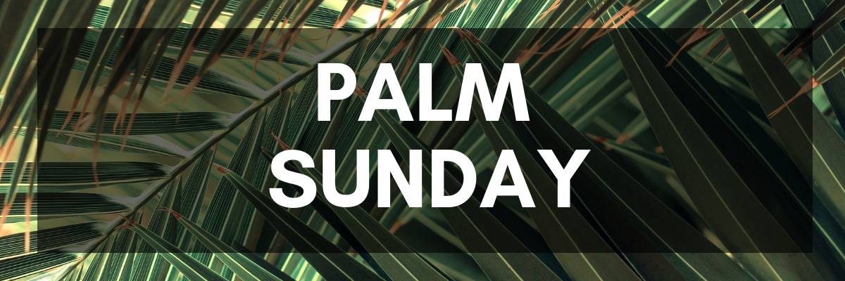 041419_blog_palm-sunday-joy