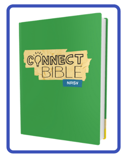 SCH_Connect_Bible-hardcover