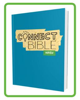 SCH_Connect_Bible-paperback